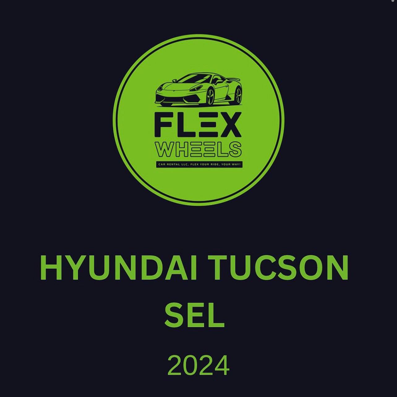 photo 4 2026 02 22 14 23 16