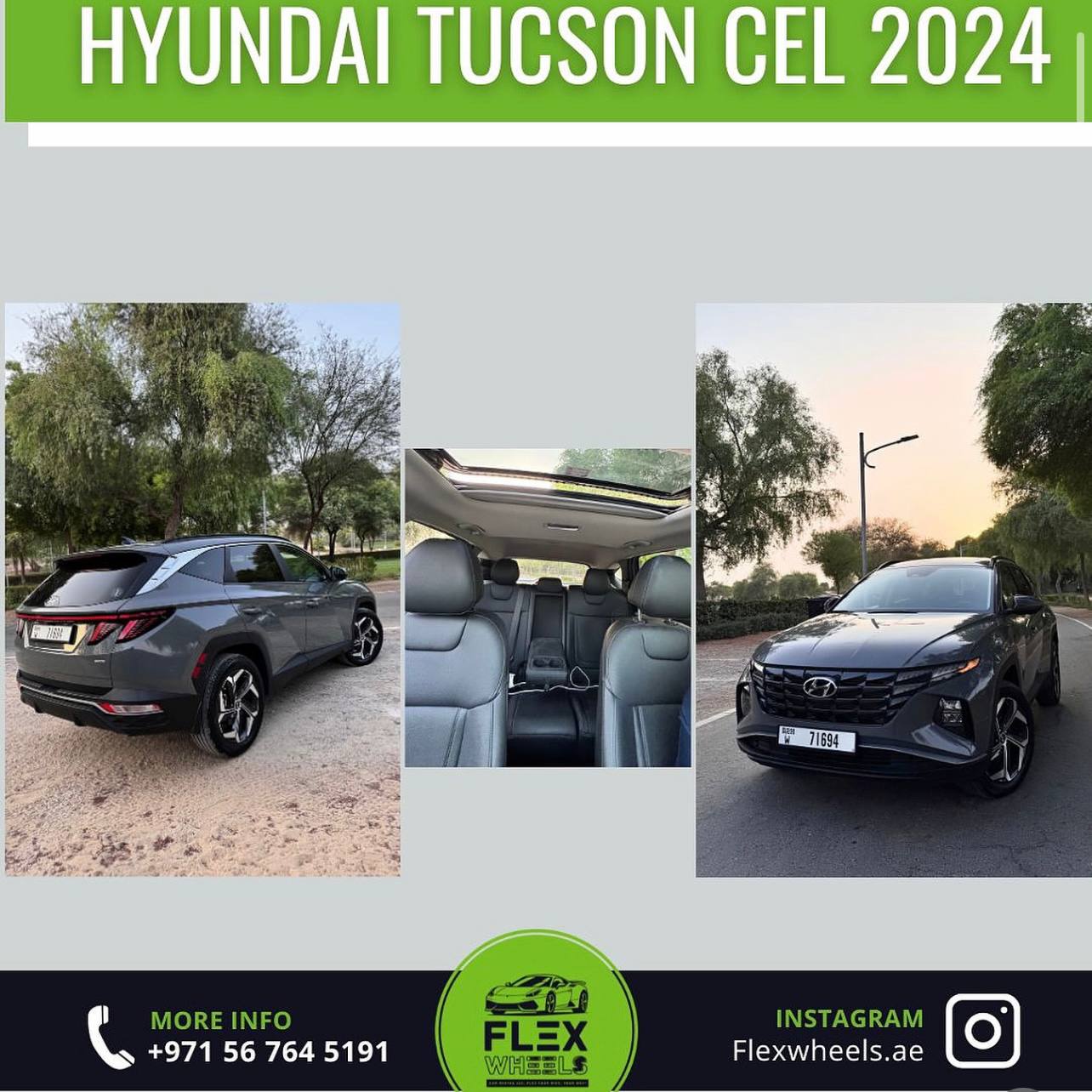 photo 7 2026 02 22 14 23 16